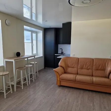 Kesklinnas Avar Ja Renoveeritud Korter Apartment Parnu