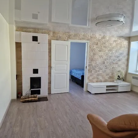 Kesklinnas Avar Ja Renoveeritud Korter Apartment *